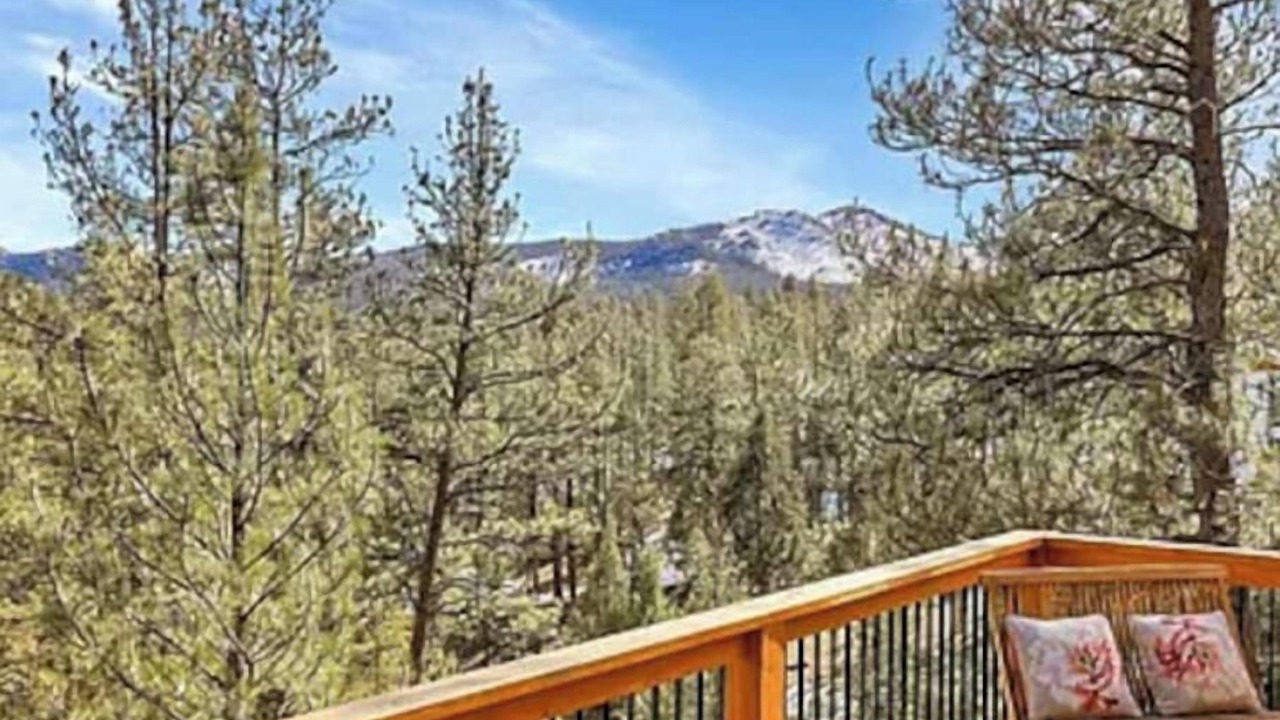 Photo of Outdoor in Pine