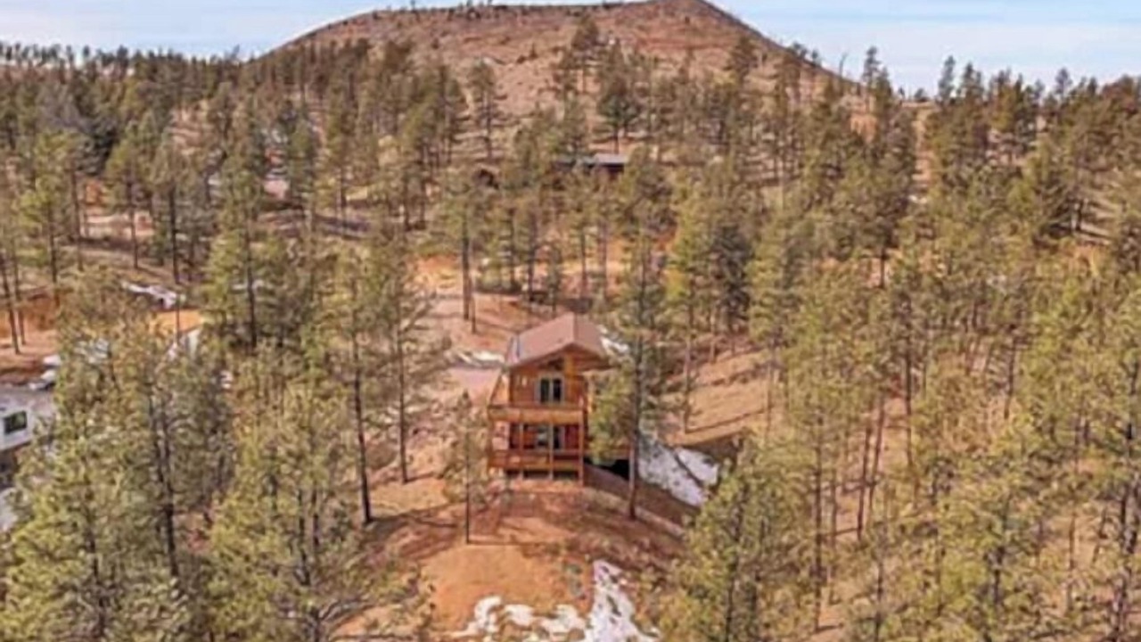 Photo of Outdoor in Pine