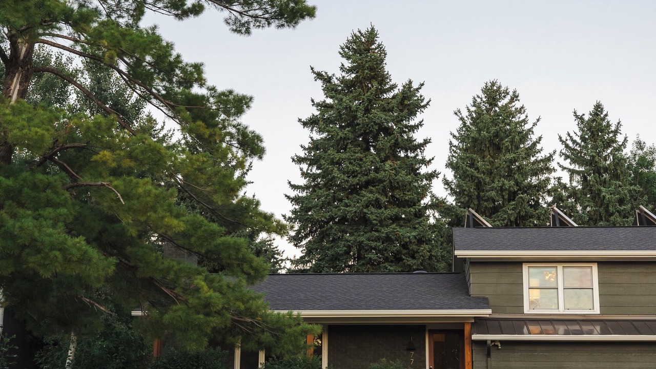 Photo of Outdoor in Gunbarrel
