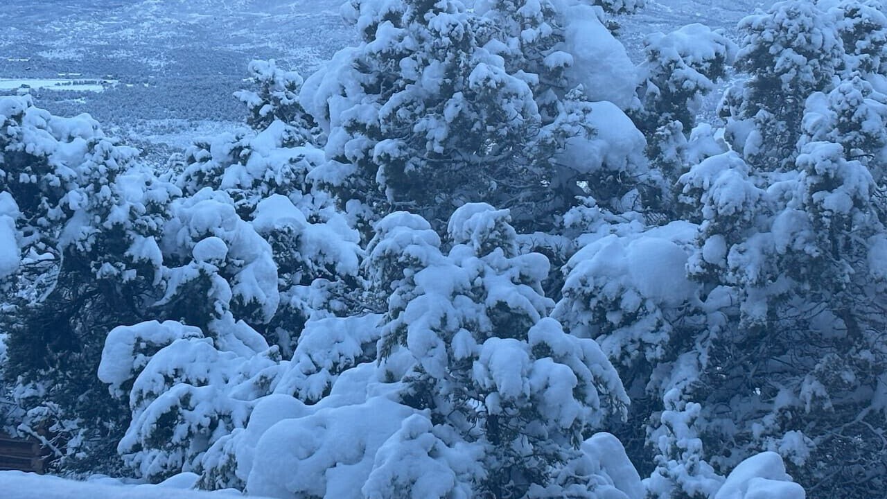 Photo of Others in Missouri Heights