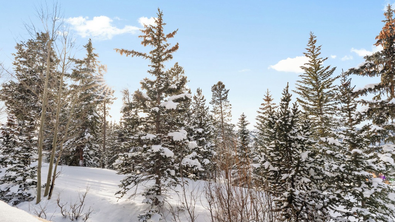 Photo of Patio Balcony in Baldy Mountain
