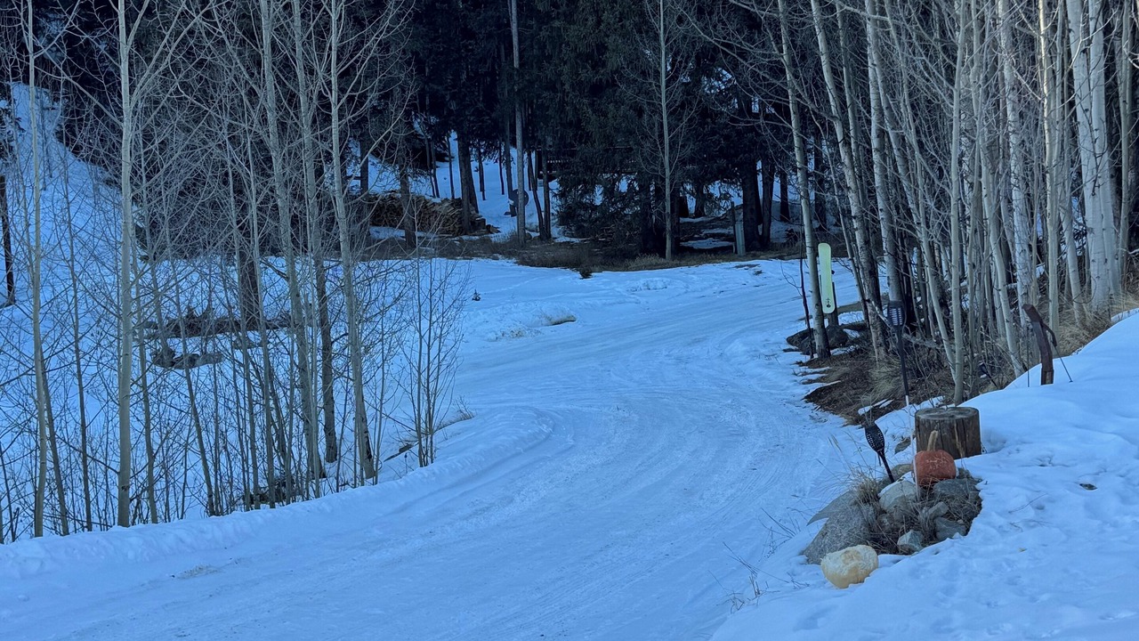 Photo of Others in Alma