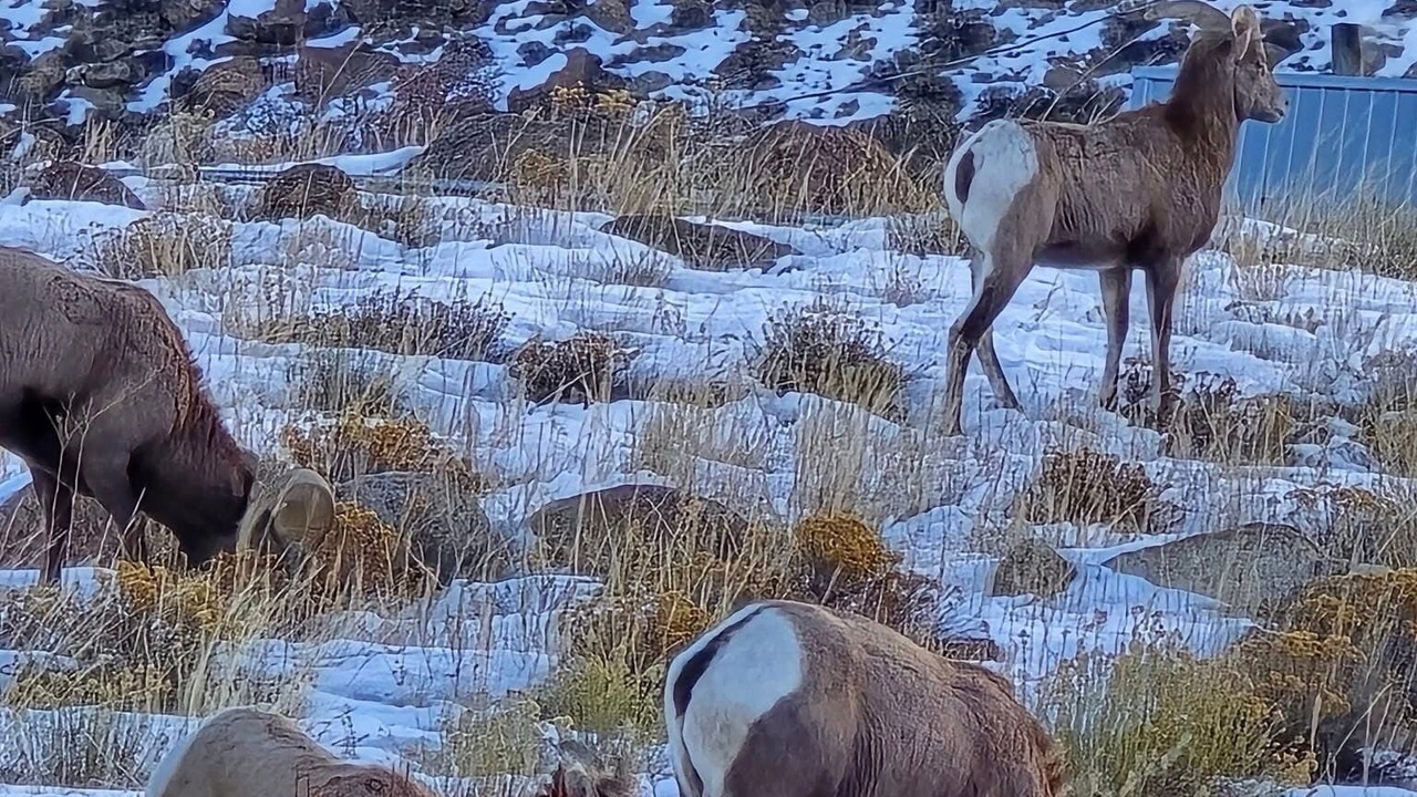 Photo of Others in Twin Lakes