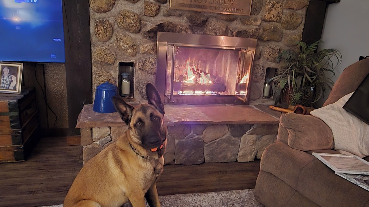 Photo of Livingroom in Twin Lakes