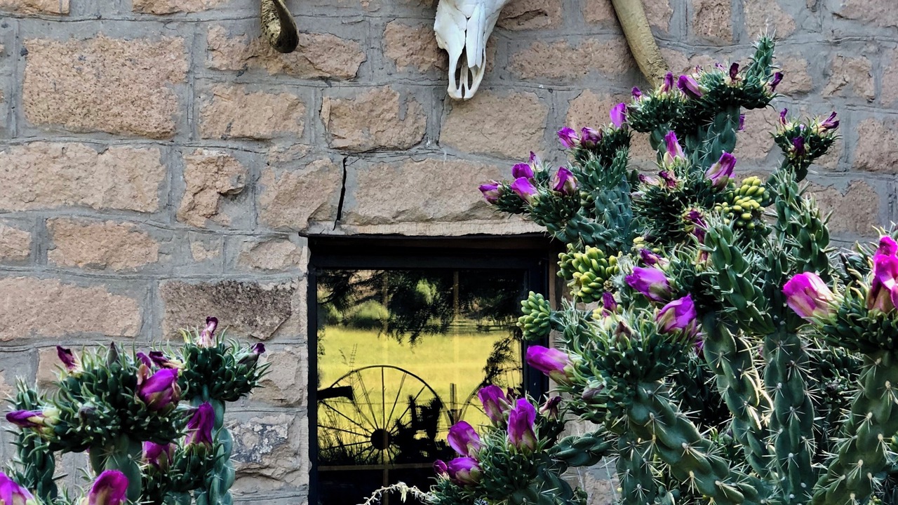 Photo of Outdoor in Cortez