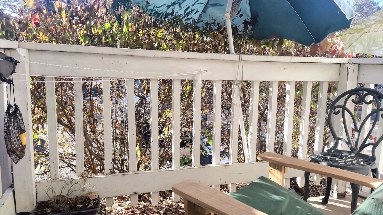 Photo of Outdoor in Windsor