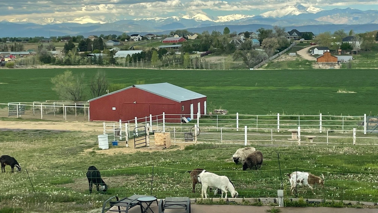 Photo of Others in Berthoud