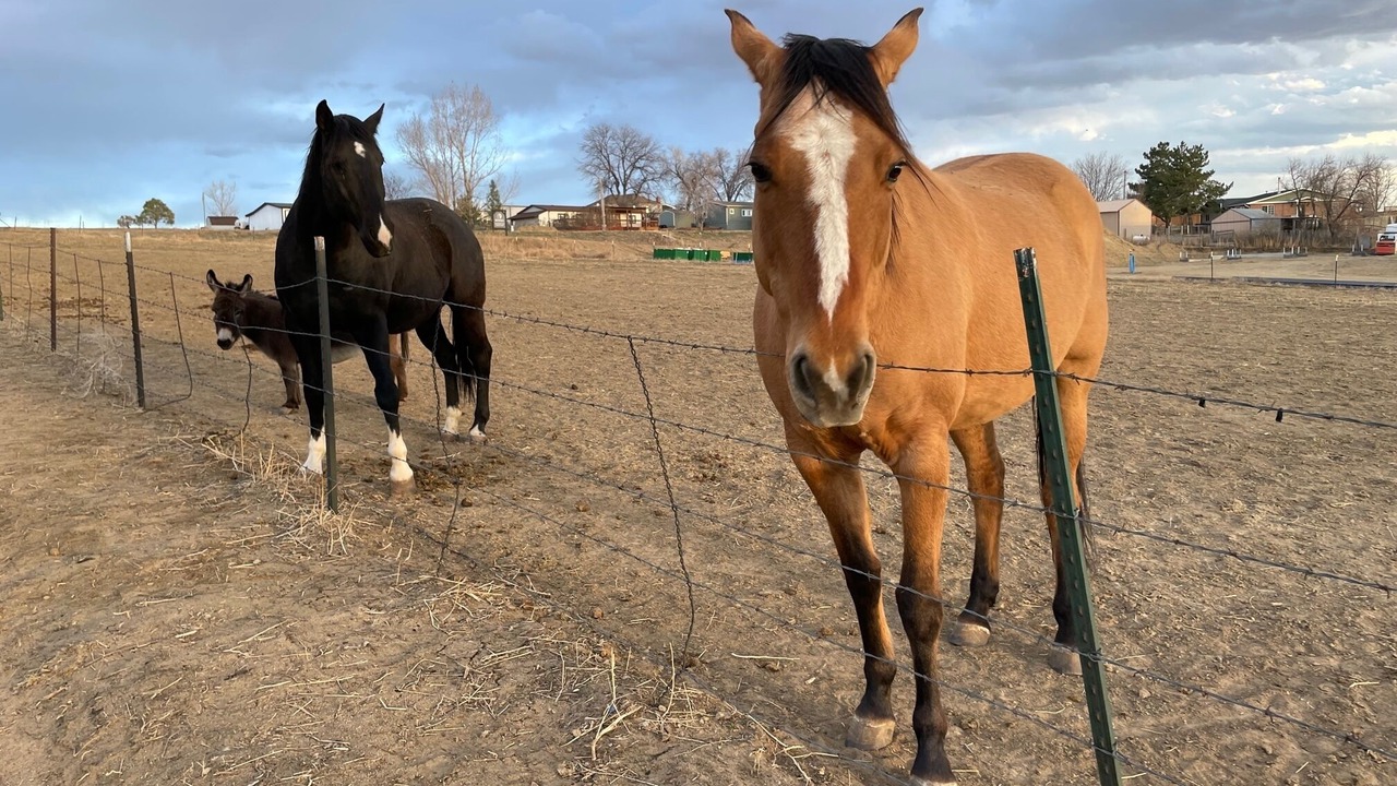Photo of Others in Berthoud