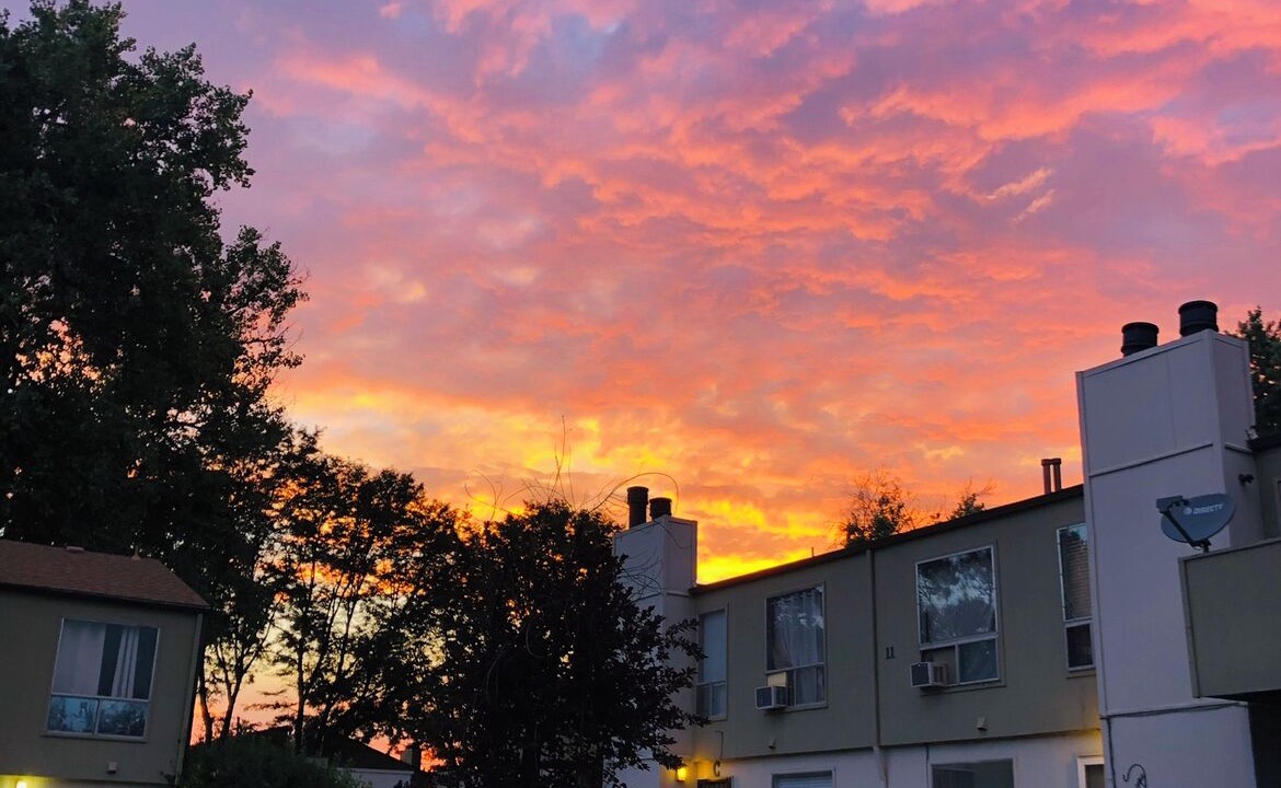 Photo of Outdoor in Lakewood