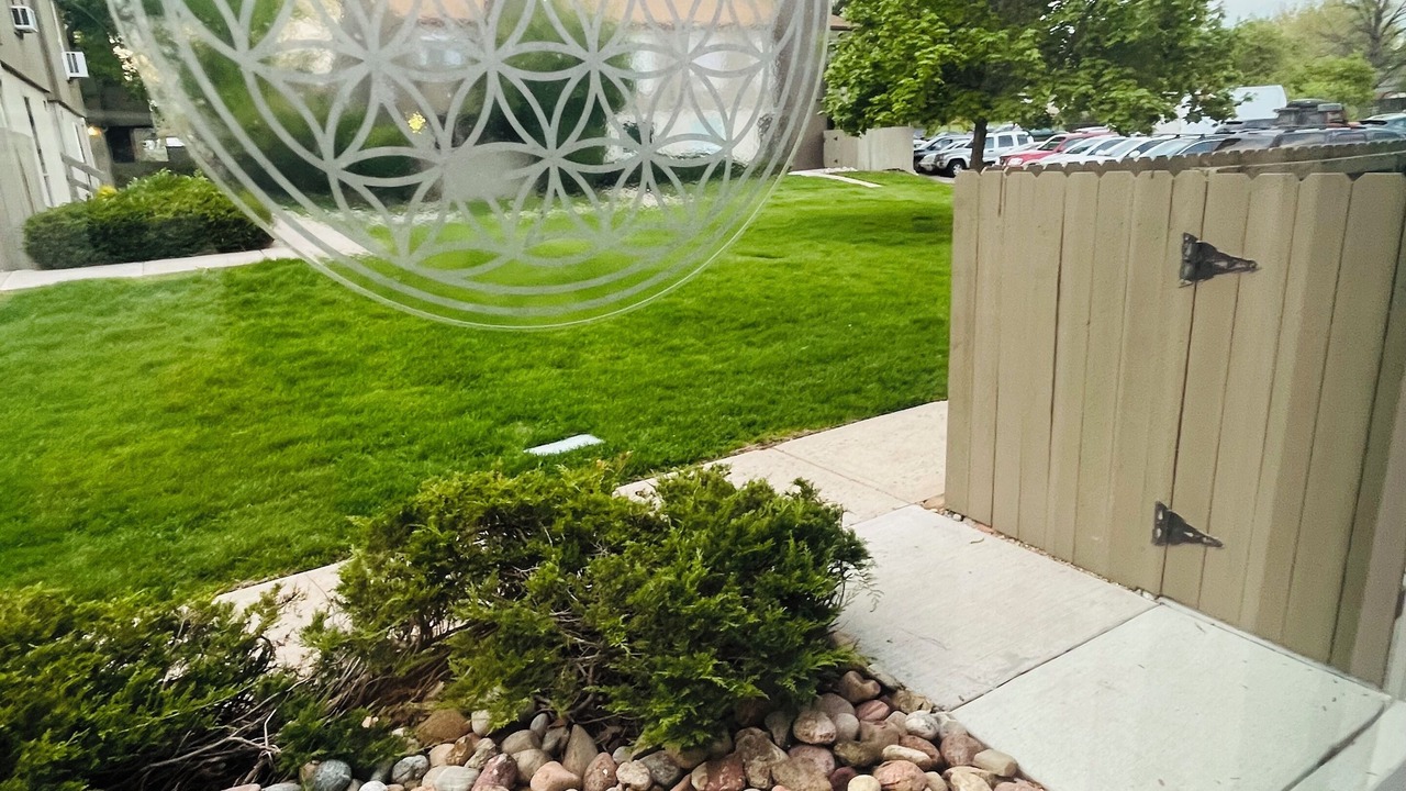 Photo of Outdoor in Lakewood