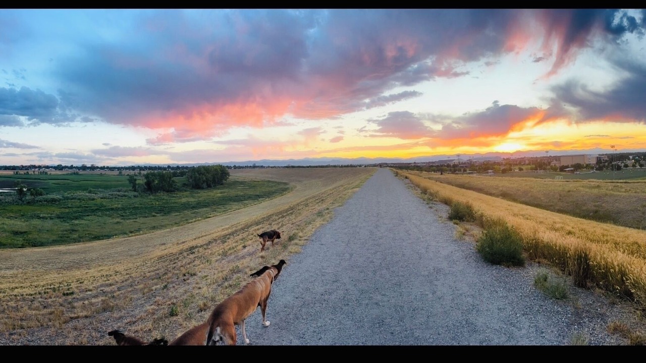 Photo of Outdoor in Delmar Parkway