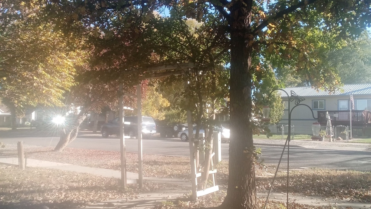 Photo of Outdoor in Delta