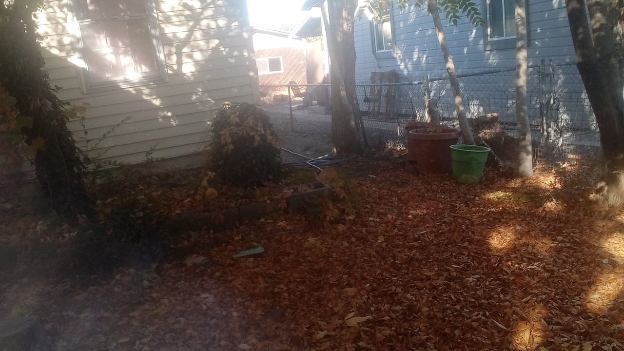 Photo of Outdoor in Delta