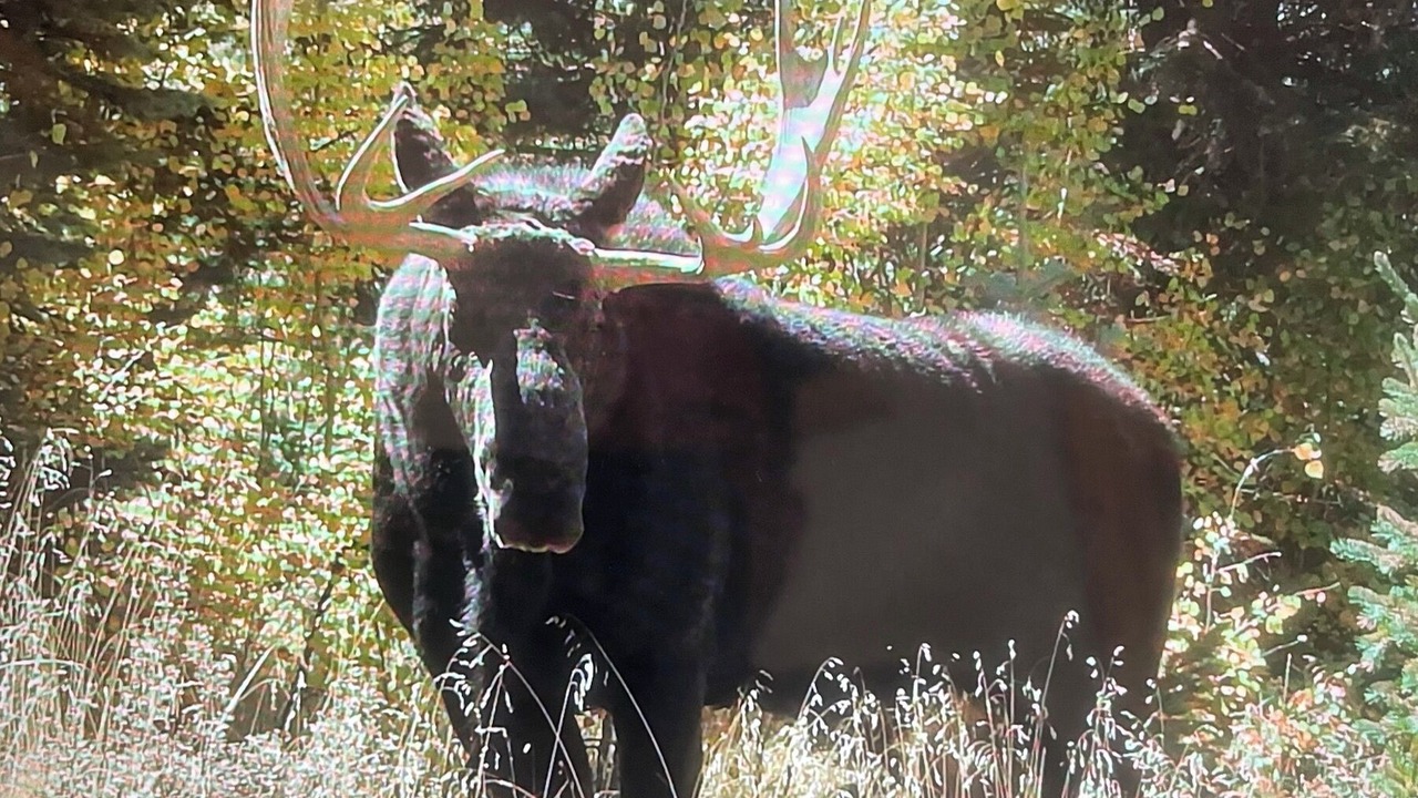 Photo of Outdoor in Lake City