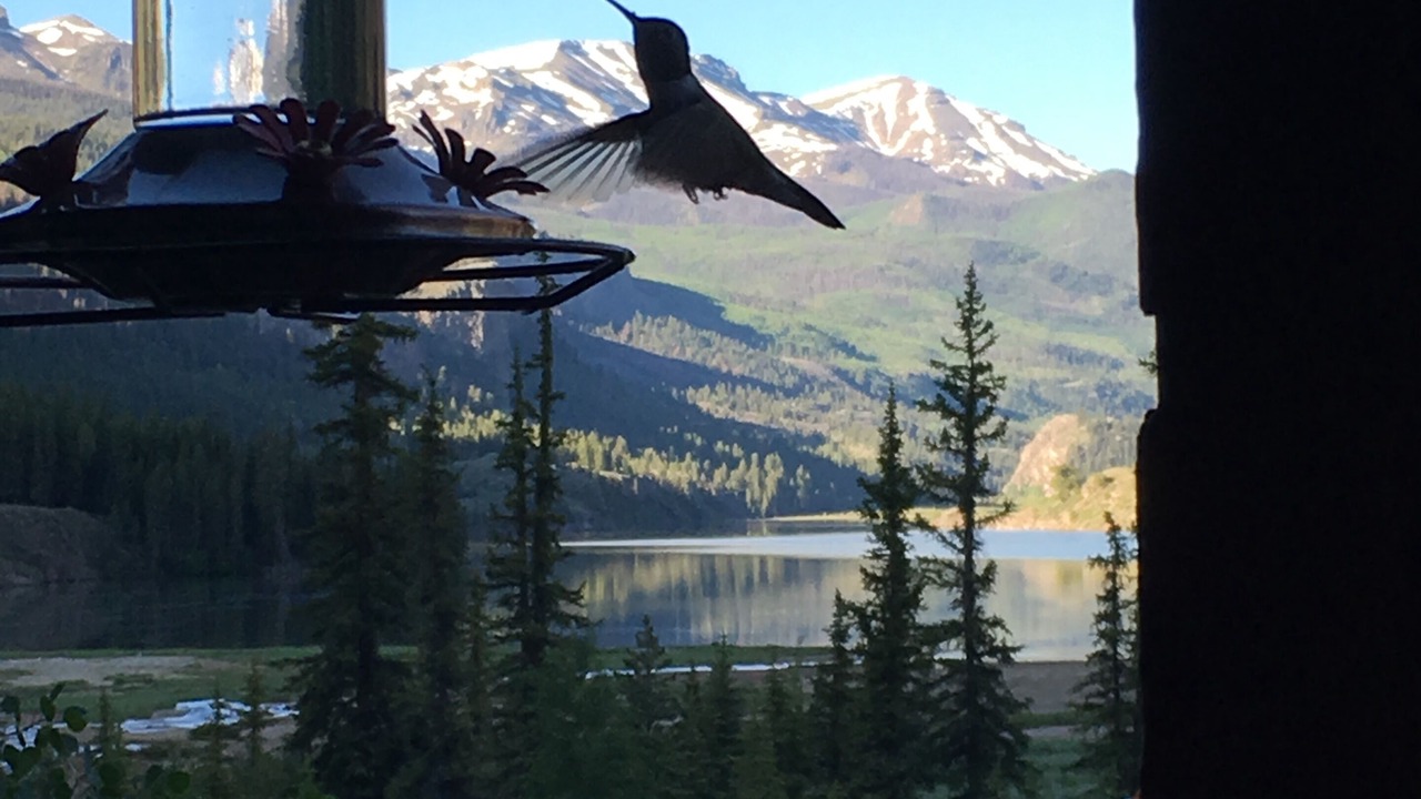 Photo of Outdoor in Lake City