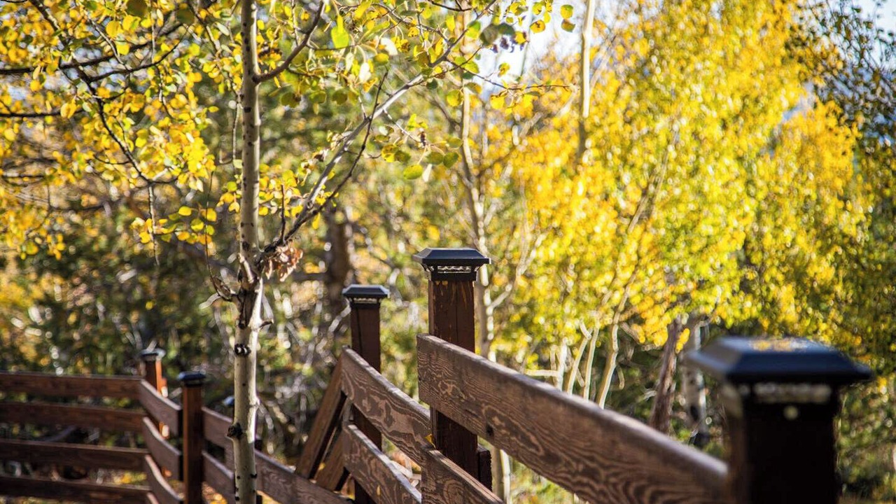 Photo of Outdoor in Cripple Creek