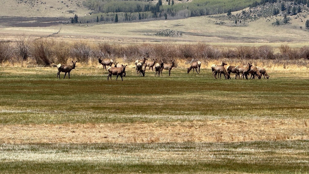 Photo of Others in Michigan Hill