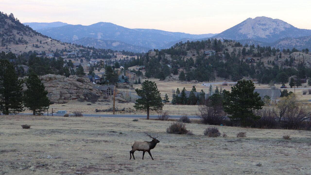 Photo of Others in Estes Park