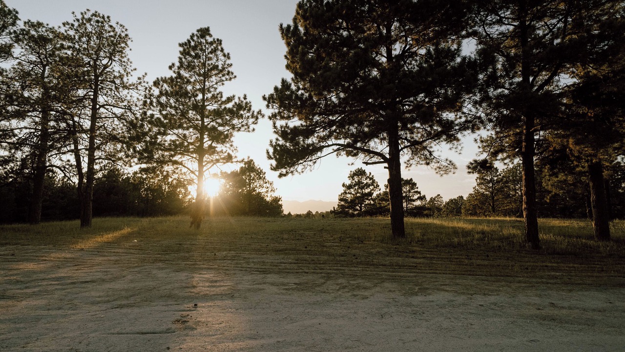 Photo of Others in Colorado Springs