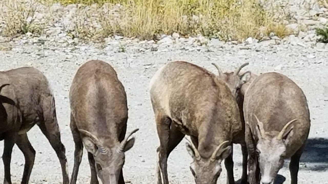 Photo of Others in Nathrop