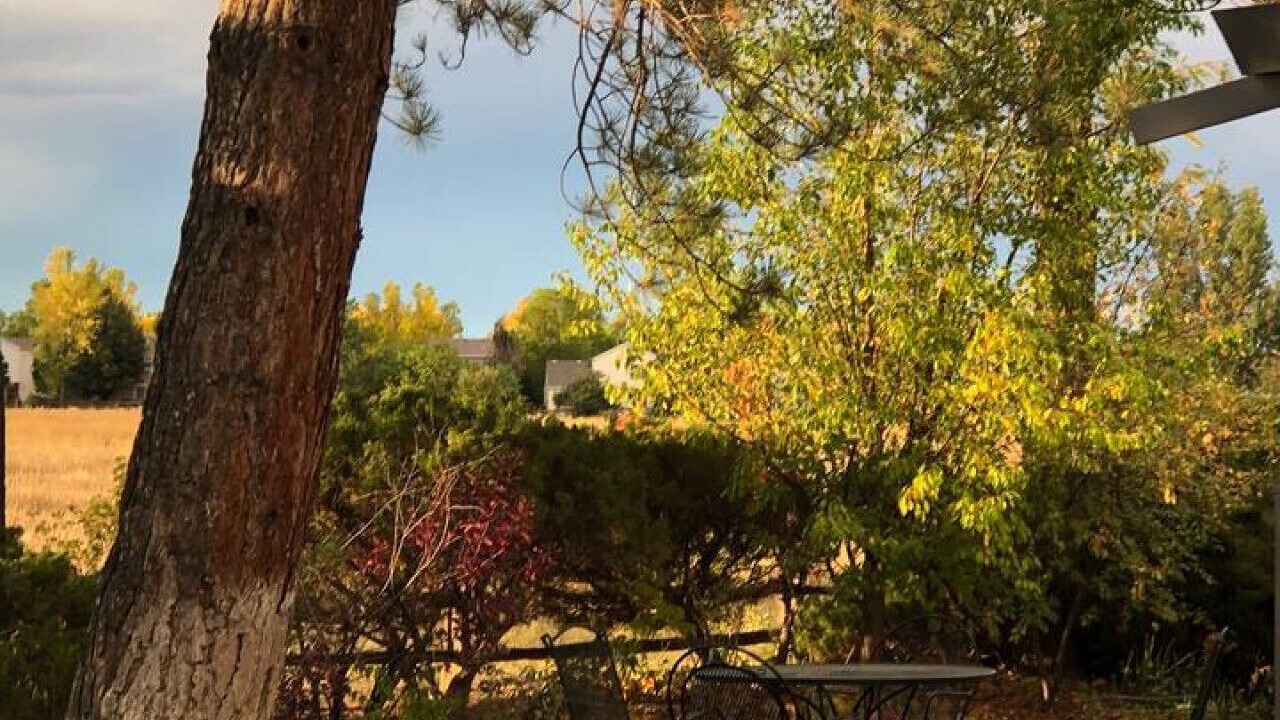 Photo of Outdoor in Longmont