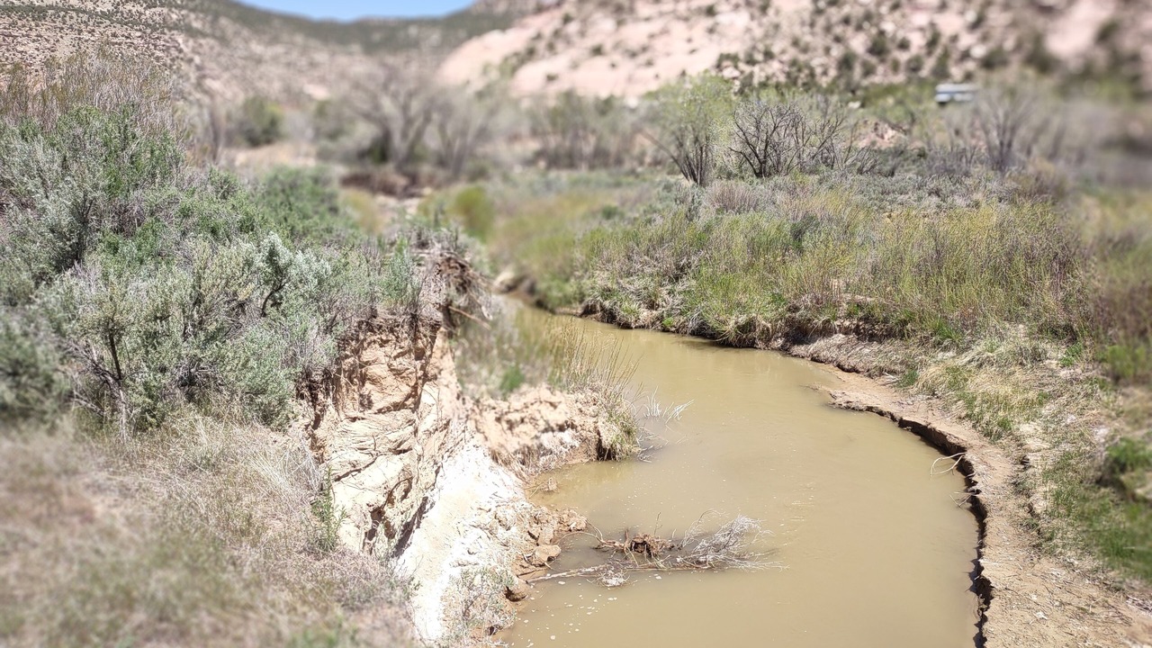 Photo of Others in Cortez