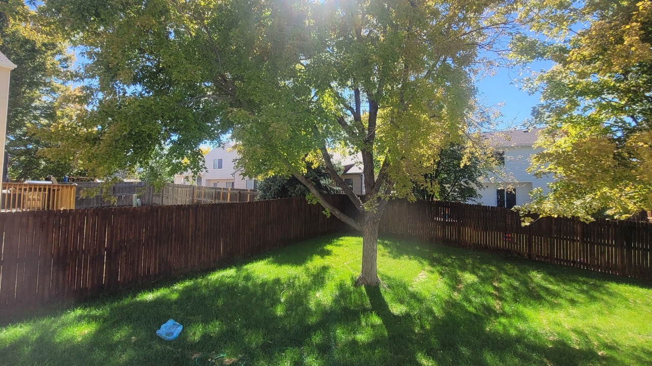 Photo of Outdoor in Aurora