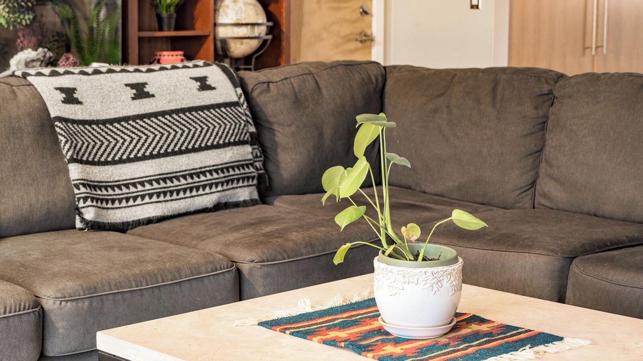 Photo of Livingroom in Frasier Meadows