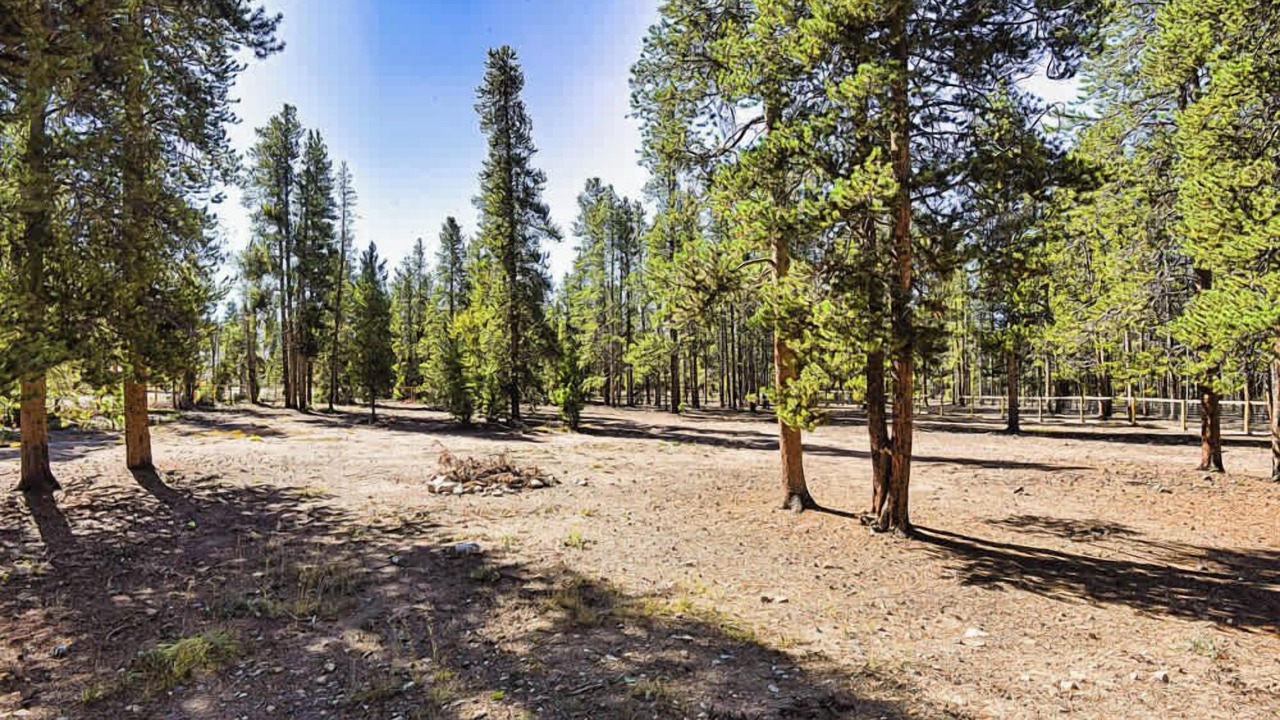 Photo of Others in Leadville