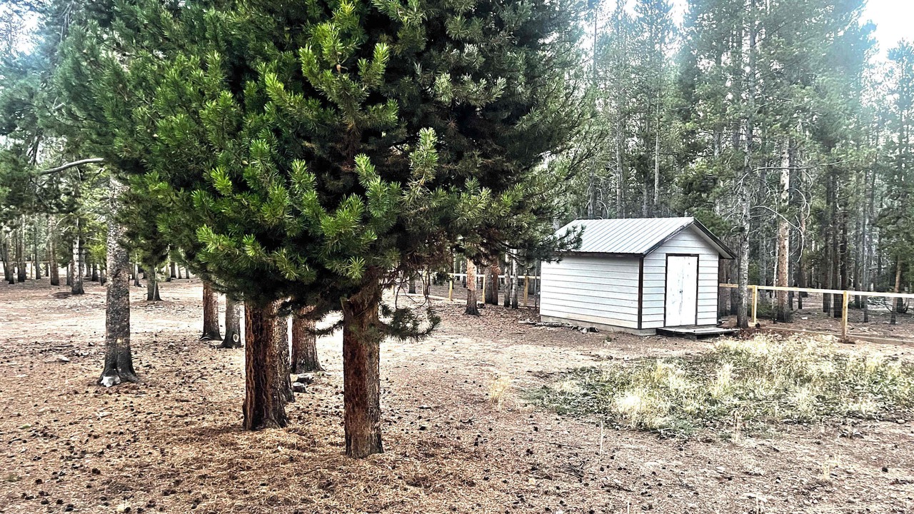 Photo of Outdoor in Leadville