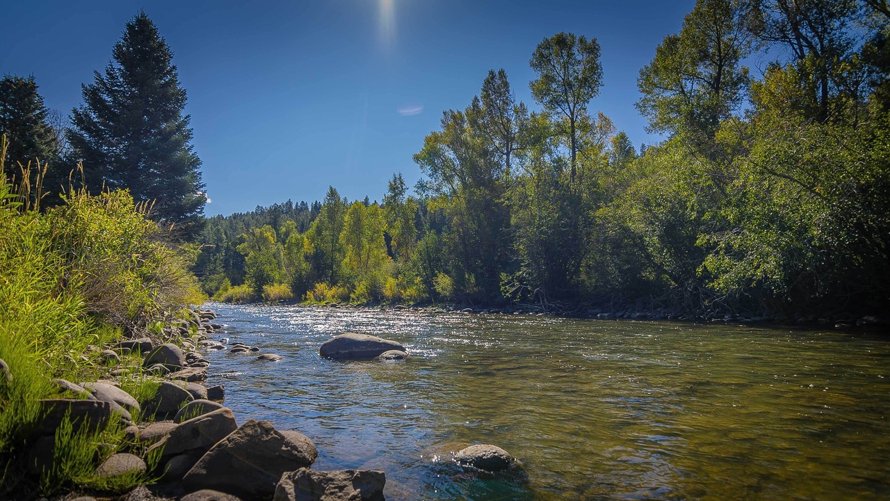 Photo of Others in San Juan River Village