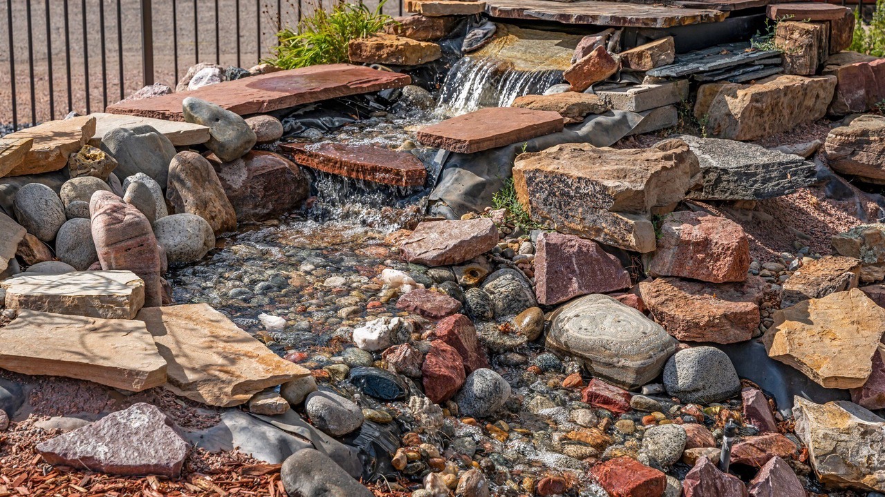 Photo of Outdoor in Lincoln Park