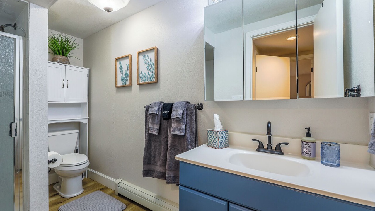 Photo of Bathroom in Castle Rock