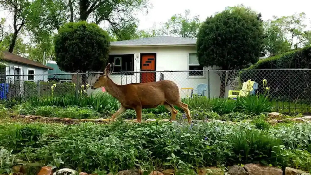 Photo of Outdoor in Colorado Springs