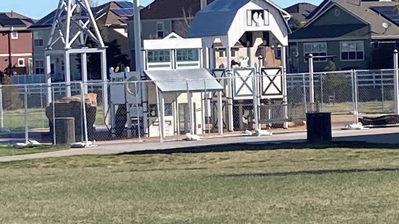 Photo of Others in Aurora