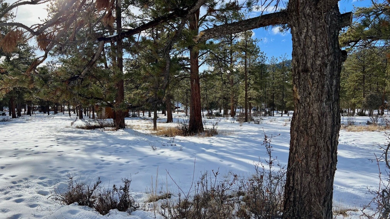 Photo of Others in South Fork