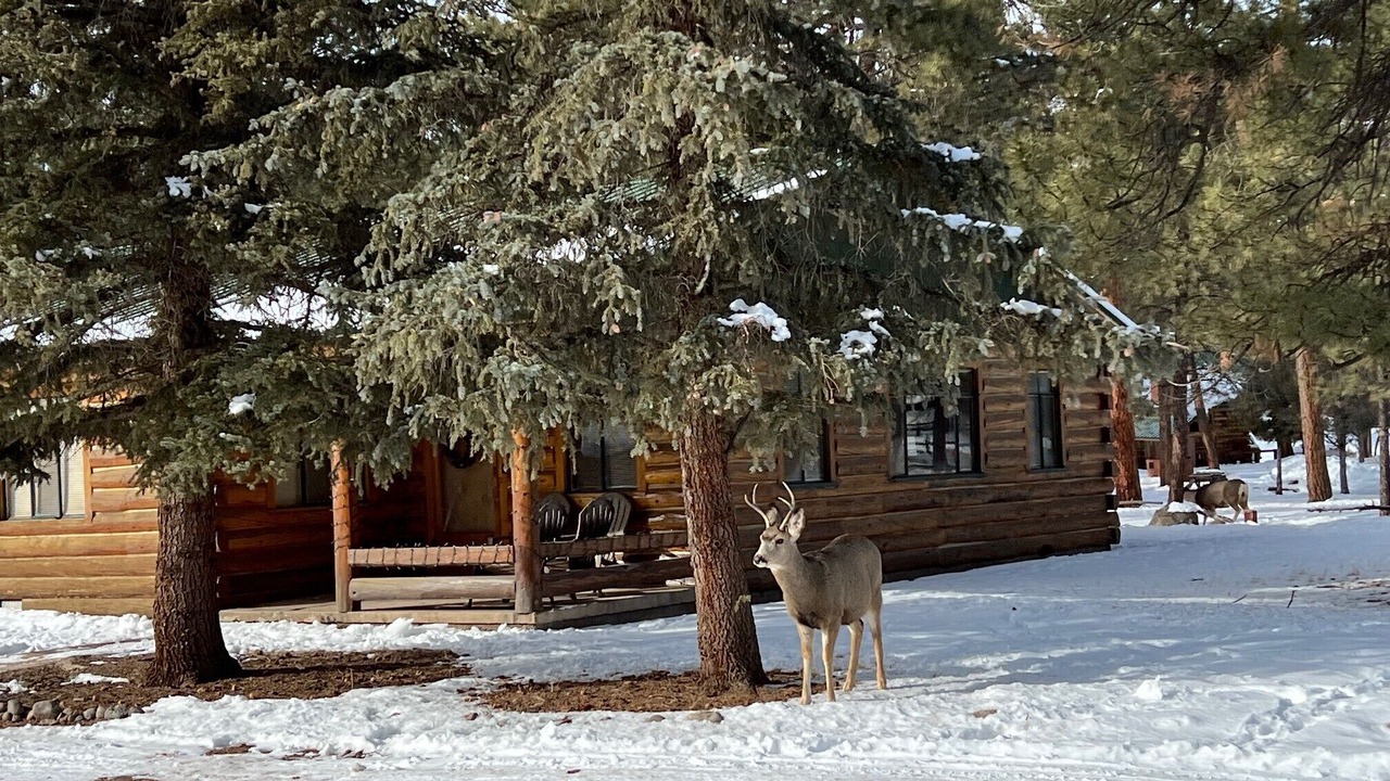 Photo of Outdoor in South Fork