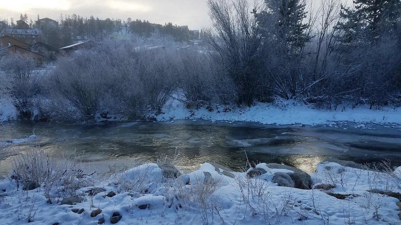 Photo of Others in Fraser