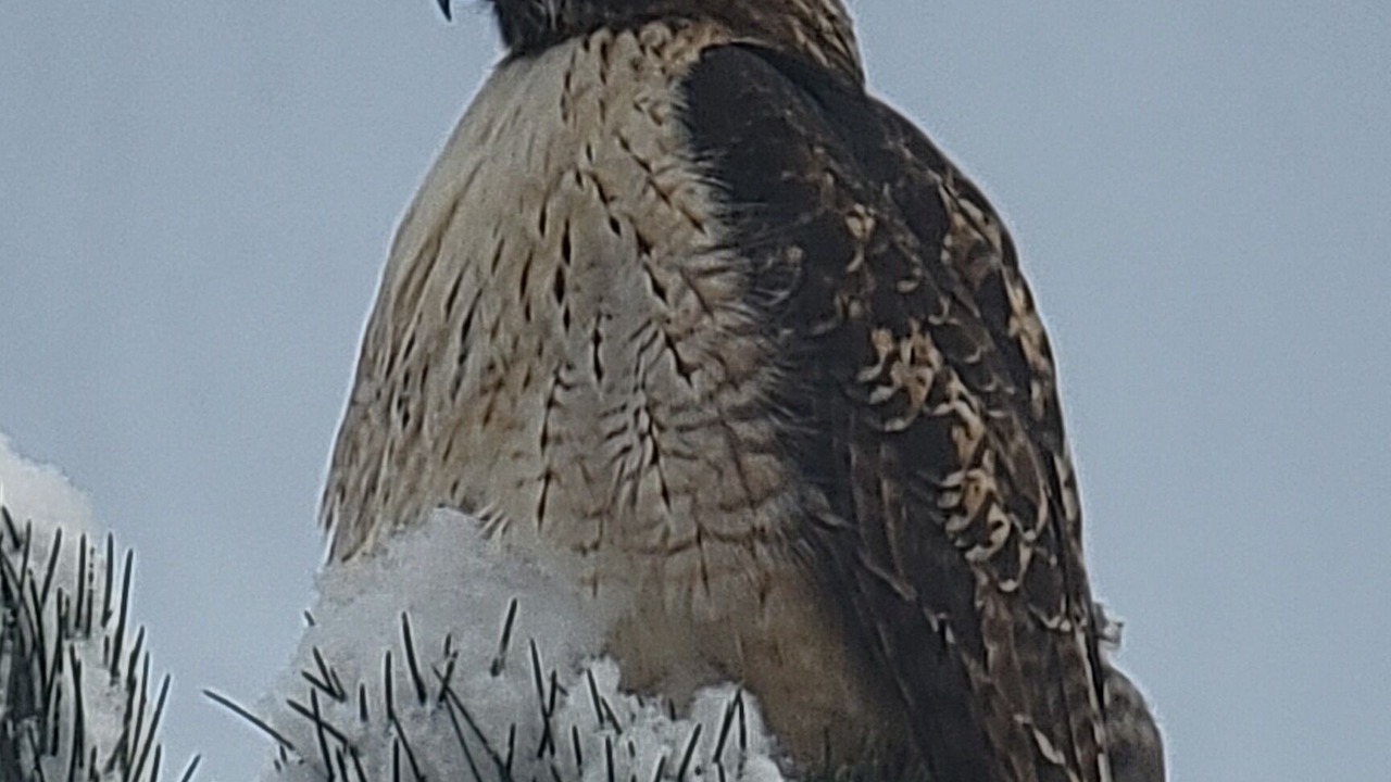 Photo of Others in Fort Collins