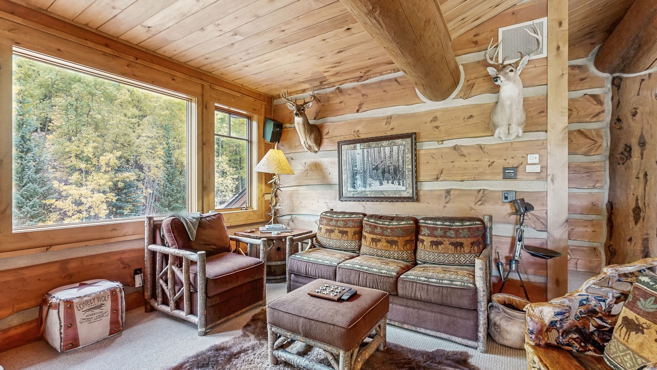 Photo of Livingroom in Leadville
