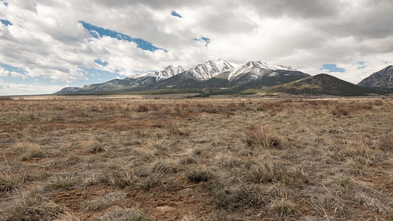 Photo of Others in Buena Vista