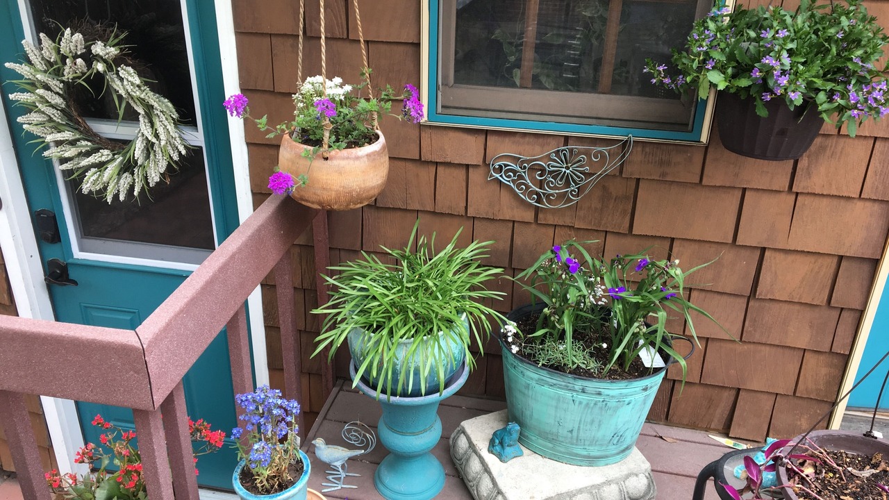 Photo of Outdoor in Sunnyside