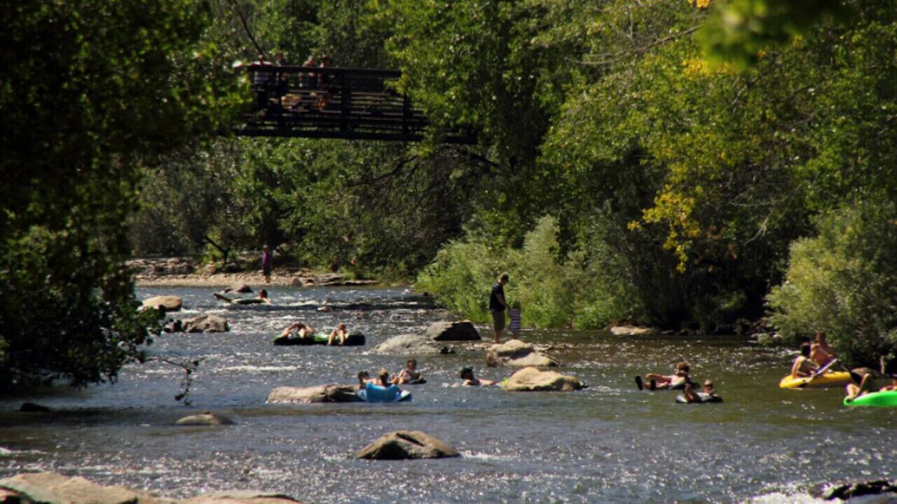 Photo of Others in Golden