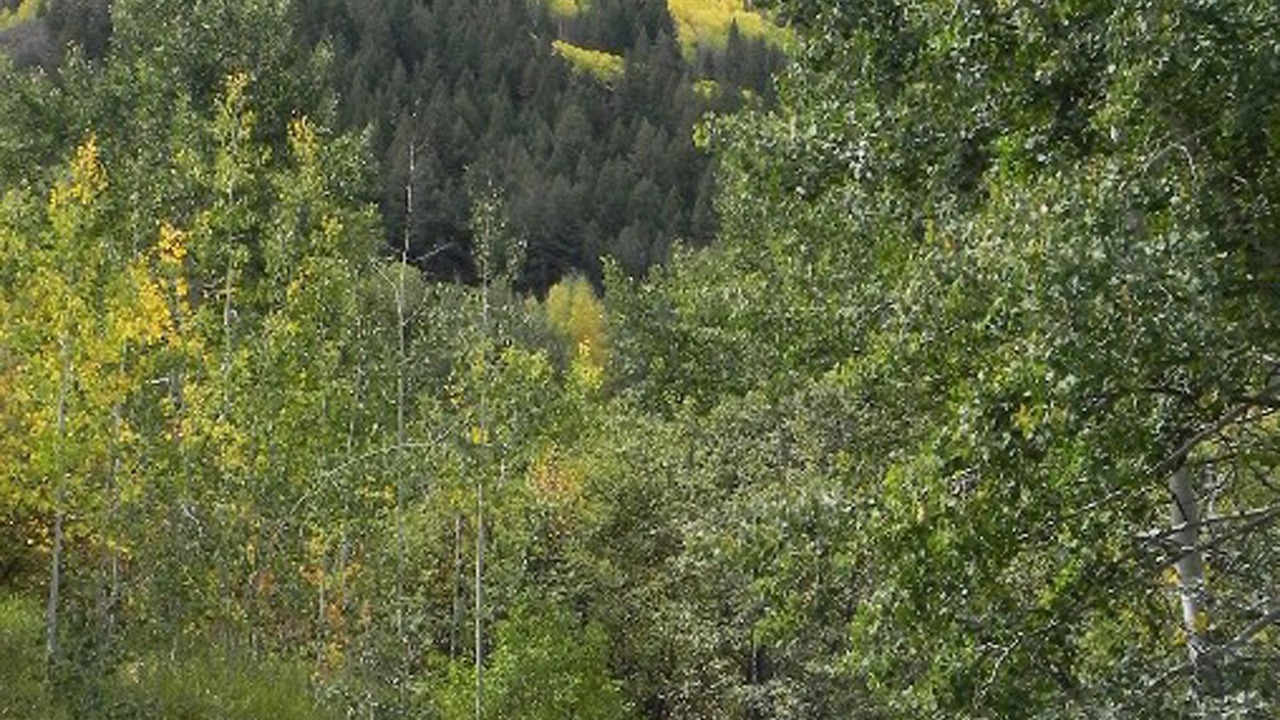 Photo of Others in Eagle-Vail