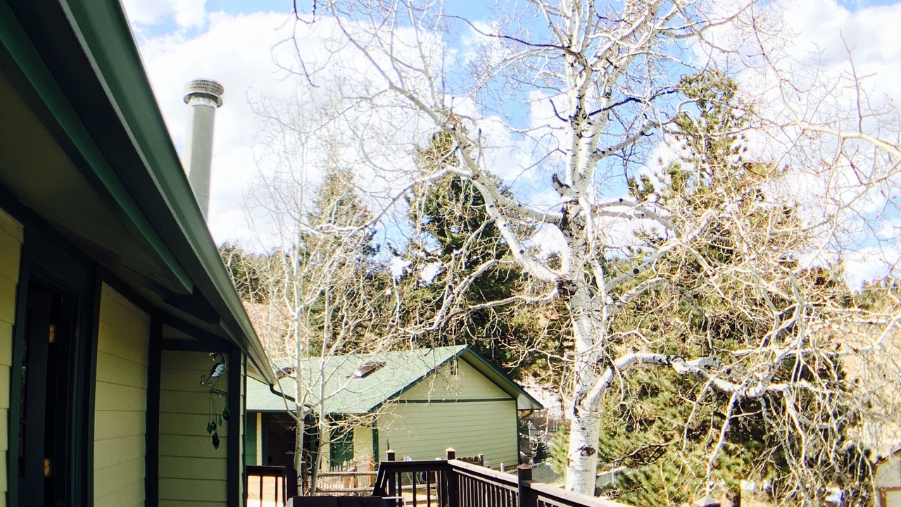 Photo of Others in Woodland Park