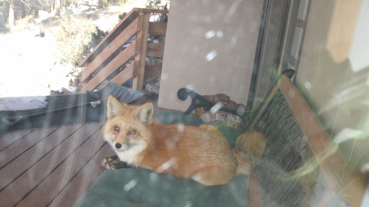 Photo of Others in Evergreen Meadows