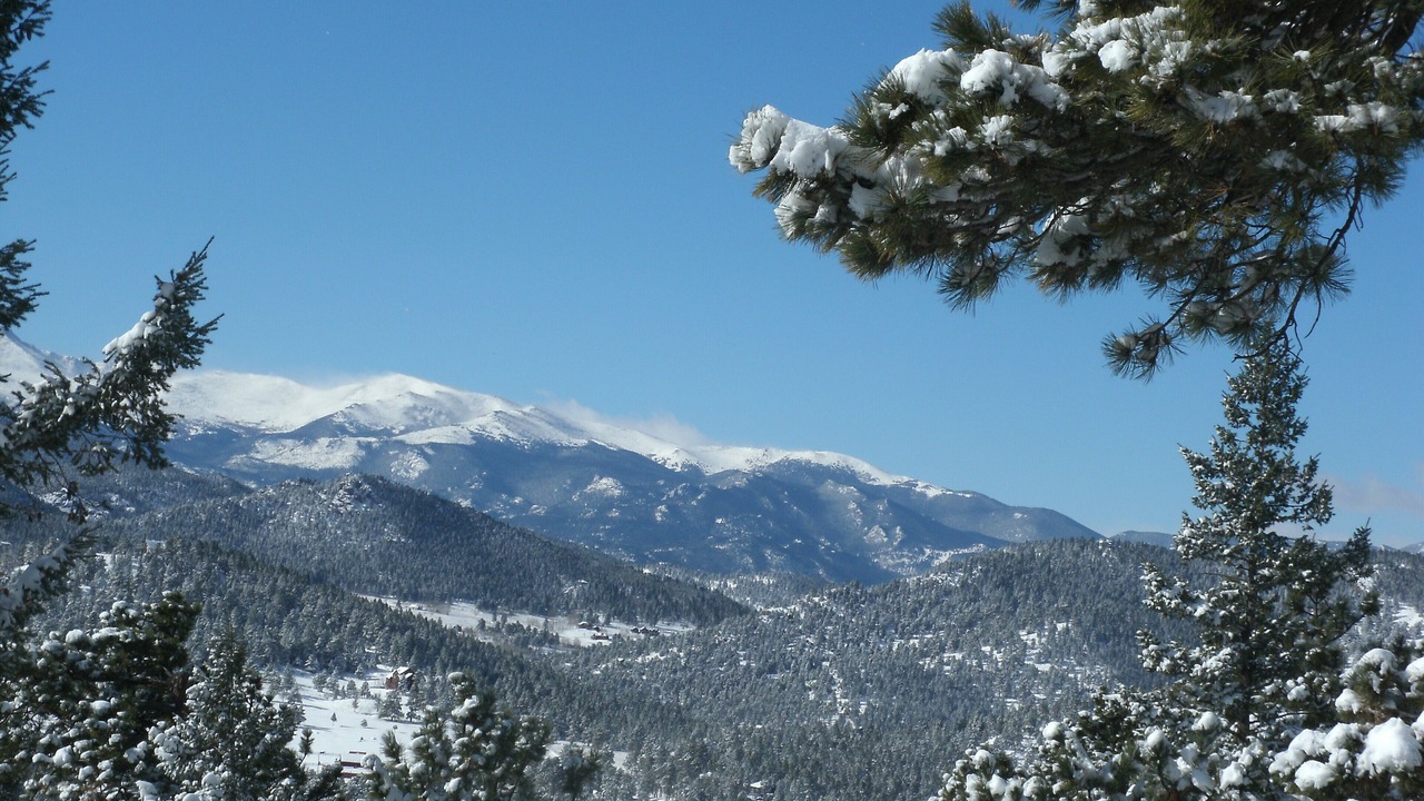 Photo of Others in Evergreen Meadows