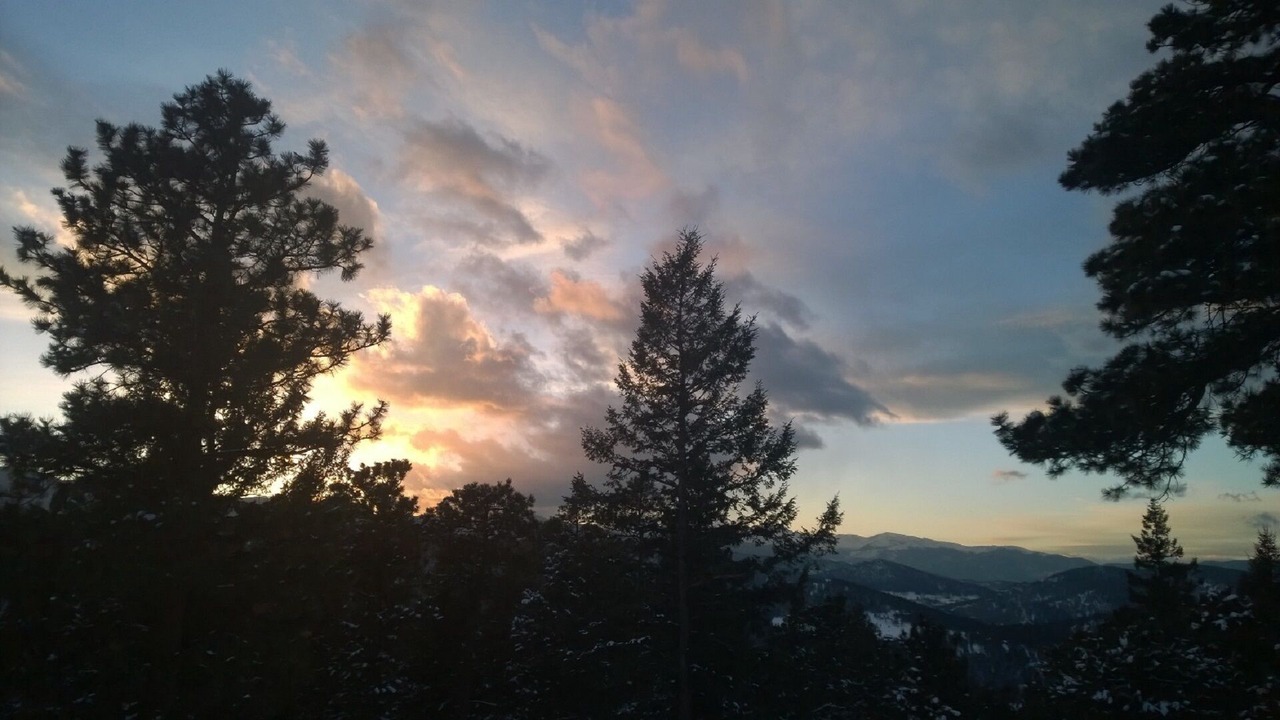 Photo of Others in Evergreen Meadows