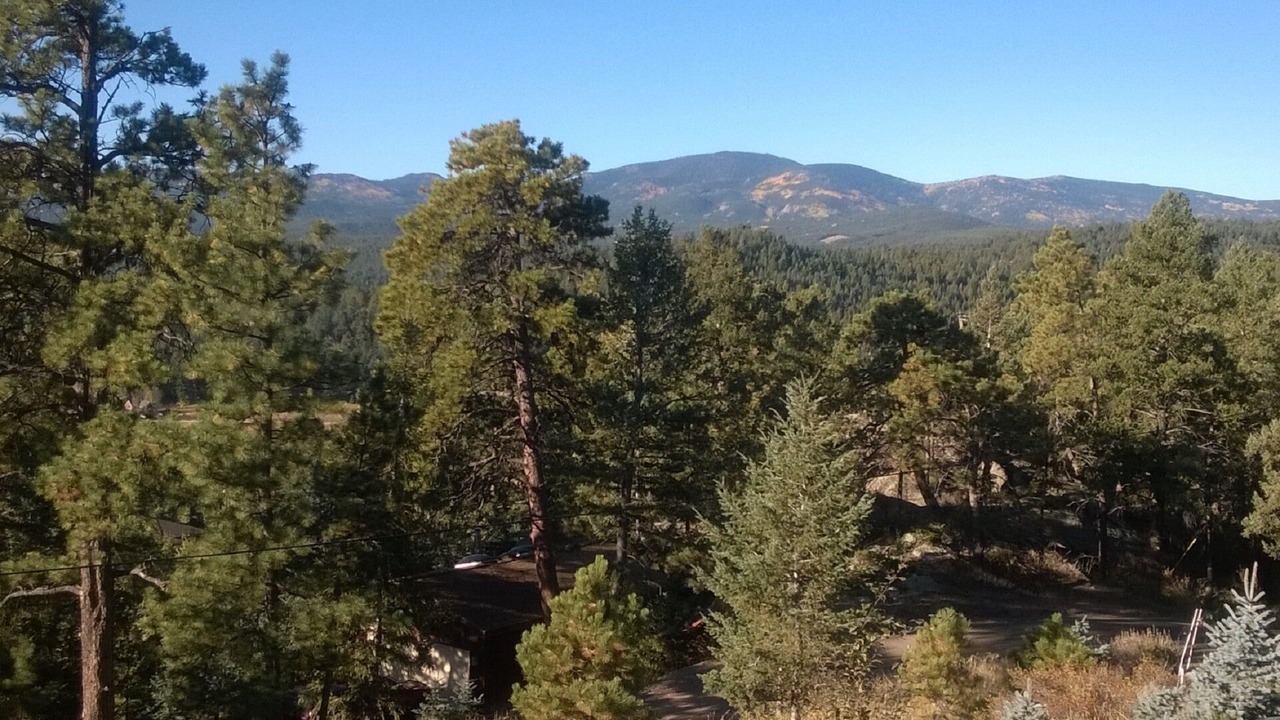 Photo of Others in Evergreen Meadows