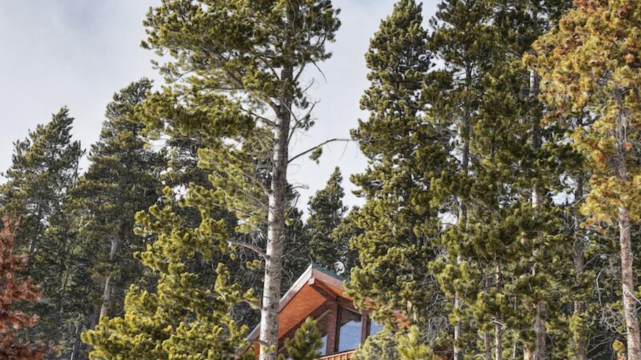 Photo of Outdoor in Saint Mary's